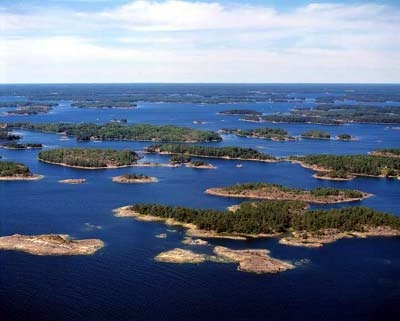 Kuvassa on meri ja järviruokoa